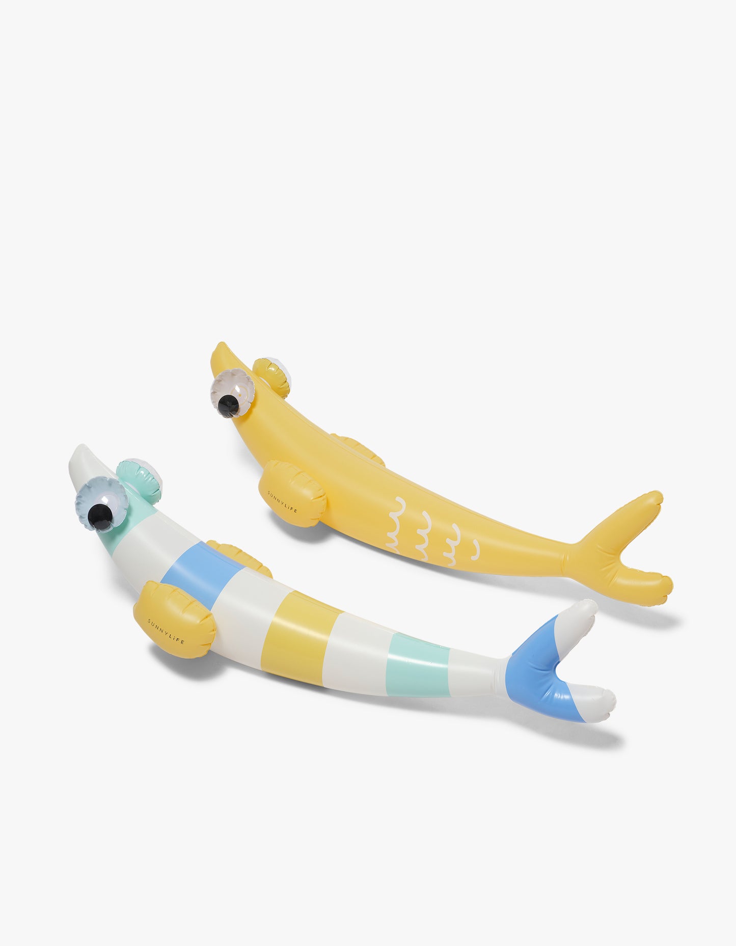 Kids Inflatable Noodle Finn The Fish Multi Set Of 2 - Finn The Fish