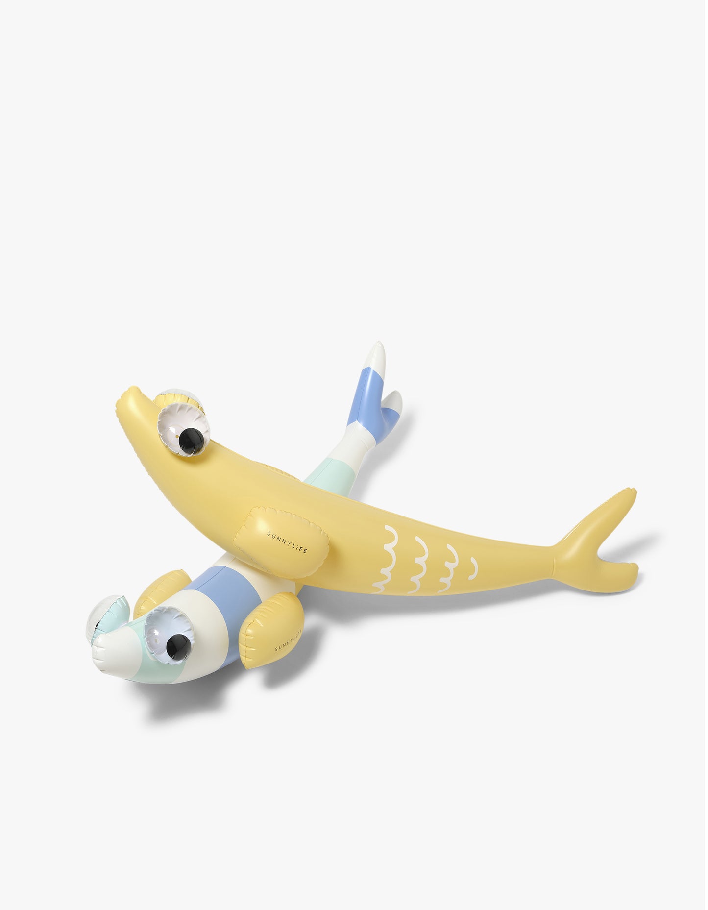 Kids Inflatable Noodle Finn The Fish Multi Set Of 2 - Finn The Fish