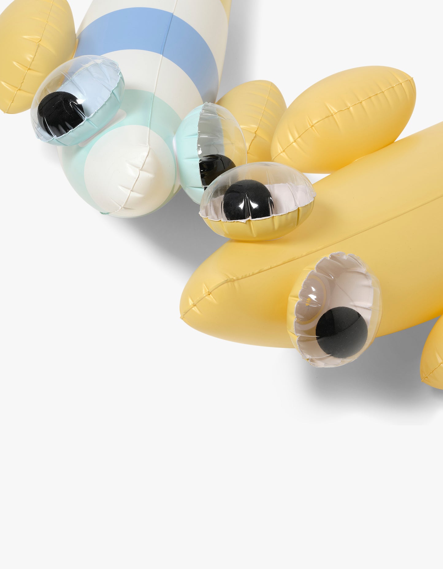 Kids Inflatable Noodle Finn The Fish Multi Set Of 2 - Finn The Fish