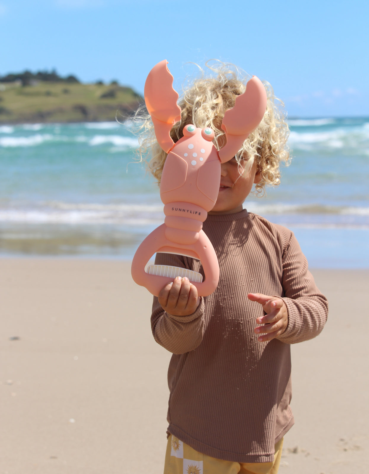 Sand Claws - Lobster Coral