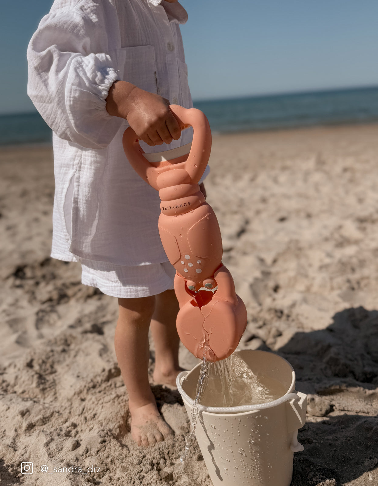 Sand Claws - Lobster Coral