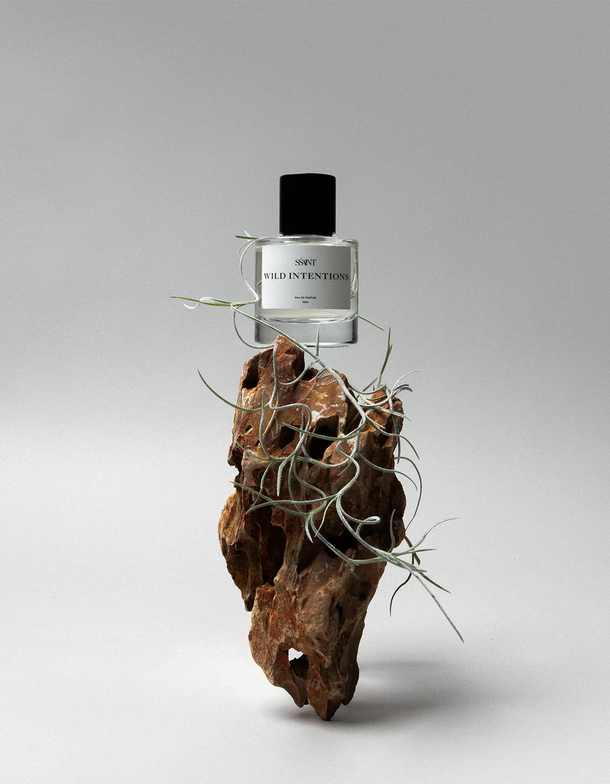 Wild Intentions 50ml - Clear