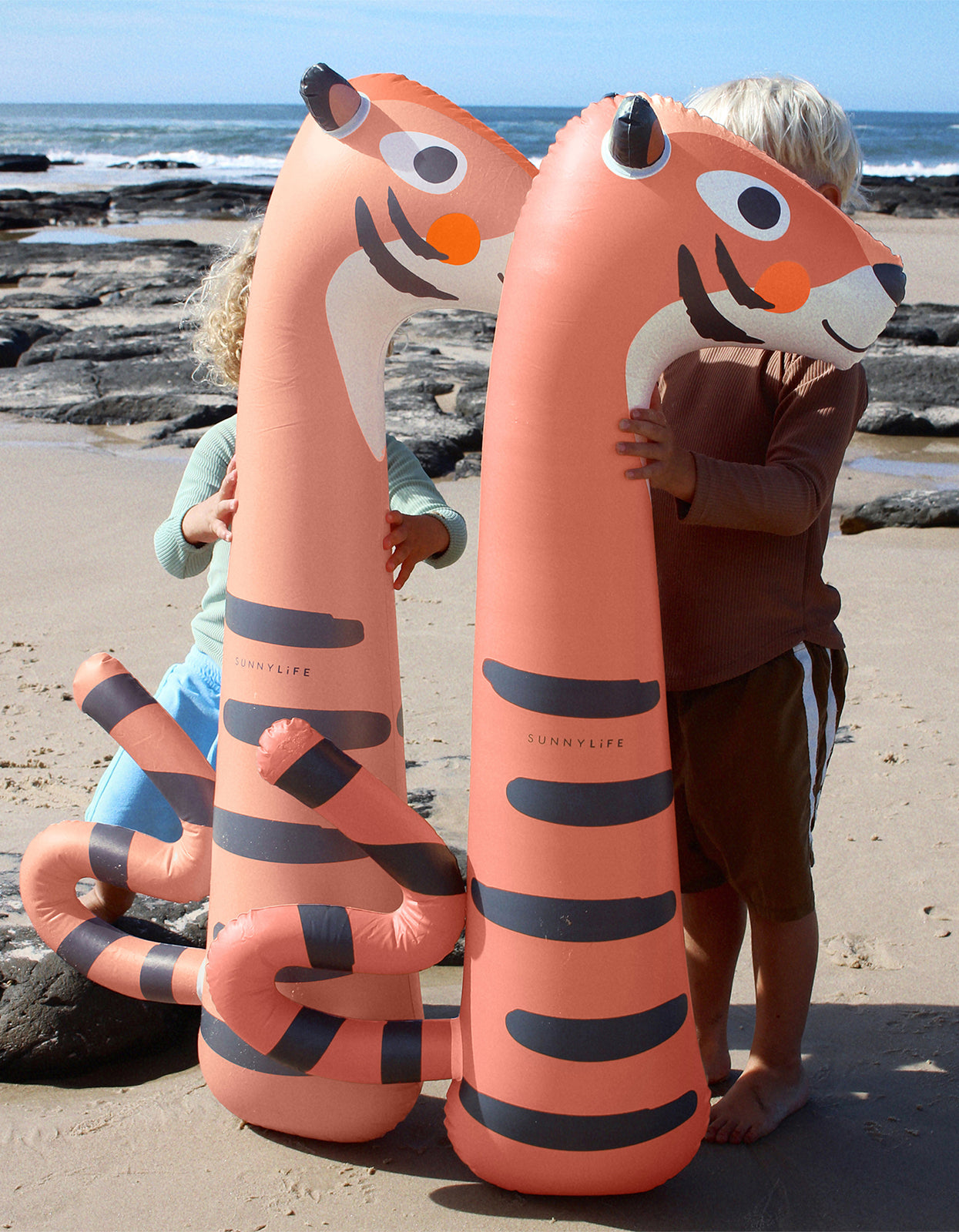 Kids Inflatable Noodle Set Of 2 - Tino The Tiger Clay