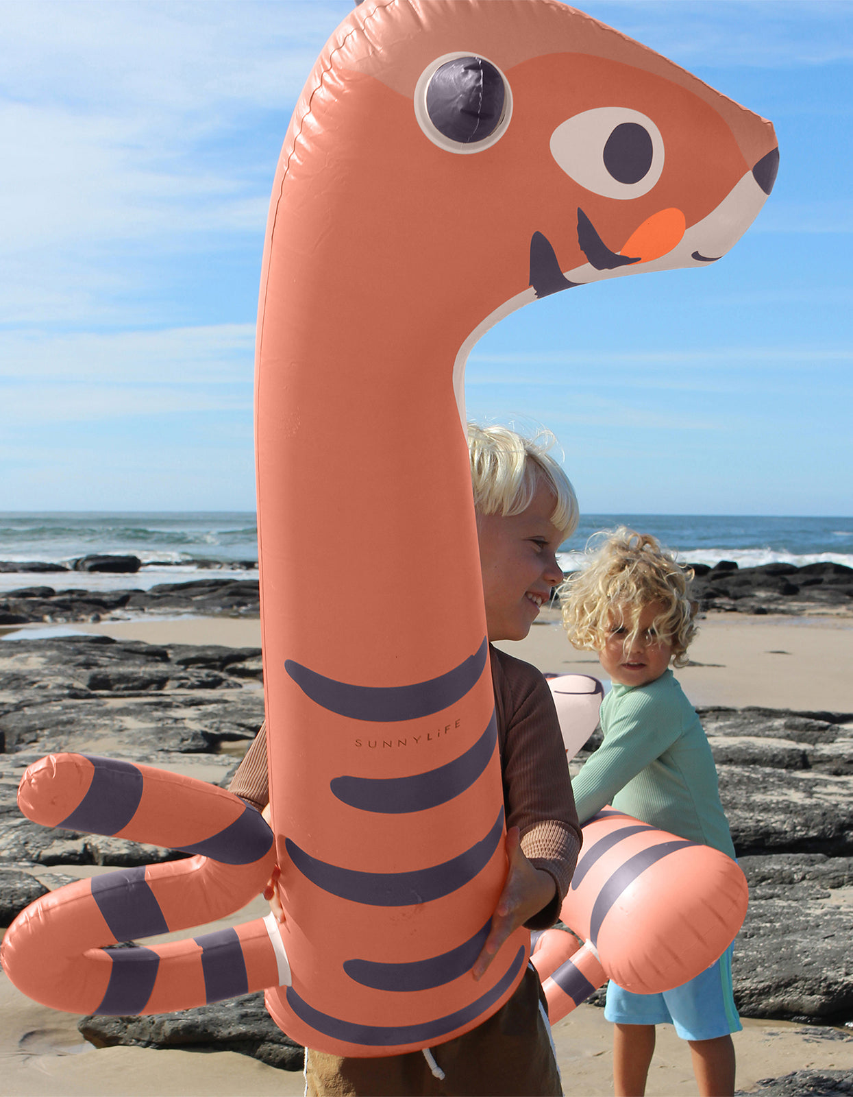 Kids Inflatable Noodle Set Of 2 - Tino The Tiger Clay