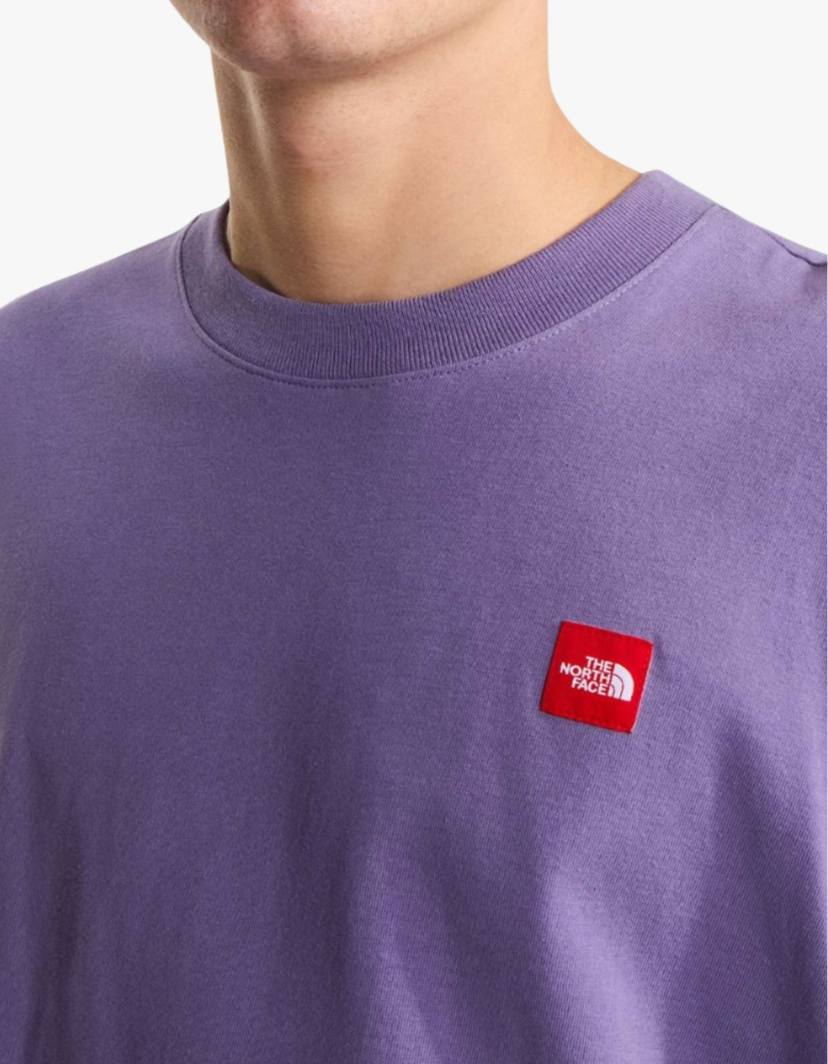 TNF Red Box S/S Tee - Grounded Plum