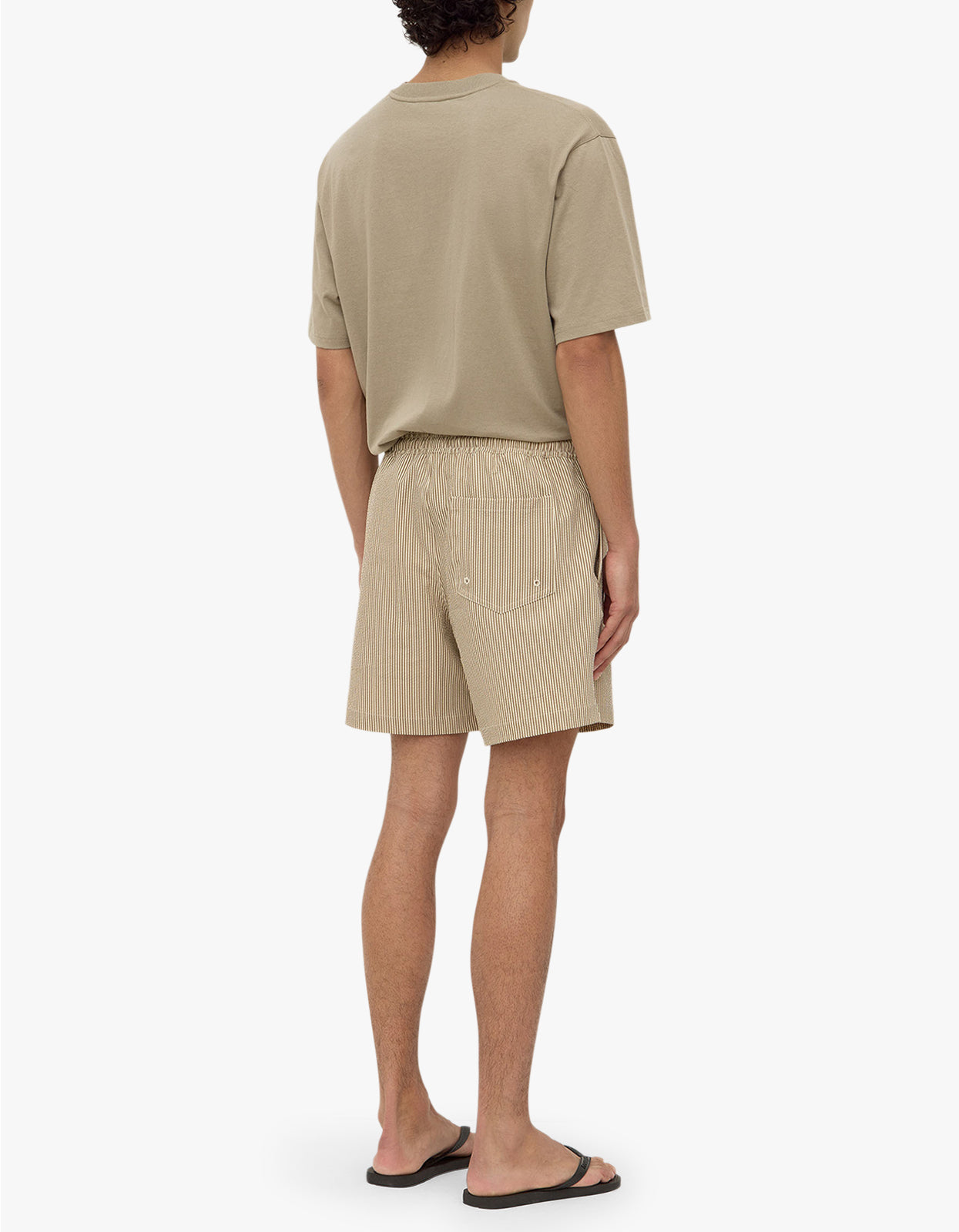Ward Swim Short - Biscuit/Limestone
