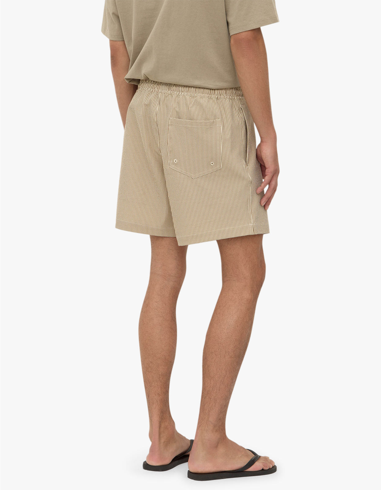 Ward Swim Short - Biscuit/Limestone