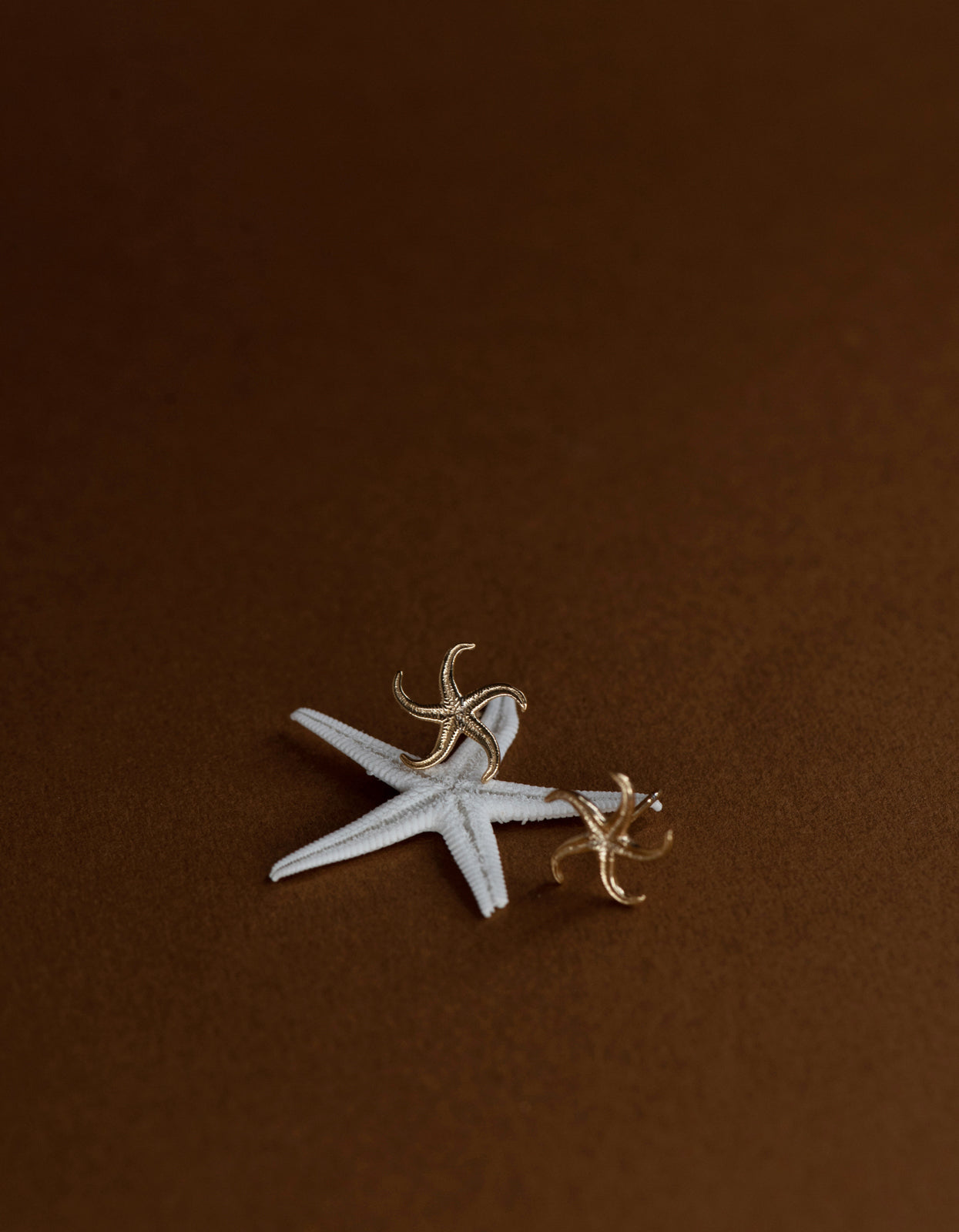 Starfish Studs - 22K Gold Vermeil