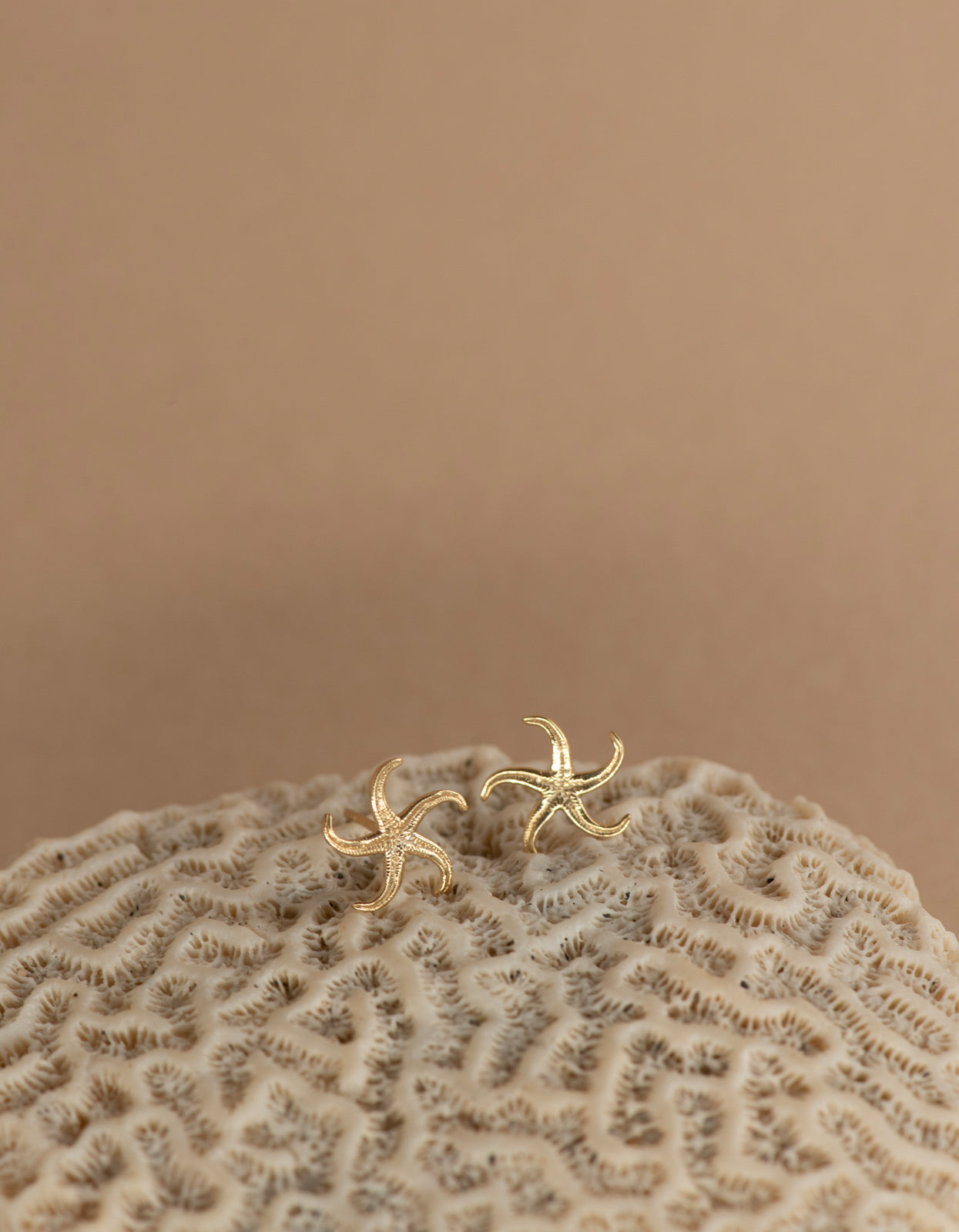 Starfish Studs - 22K Gold Vermeil