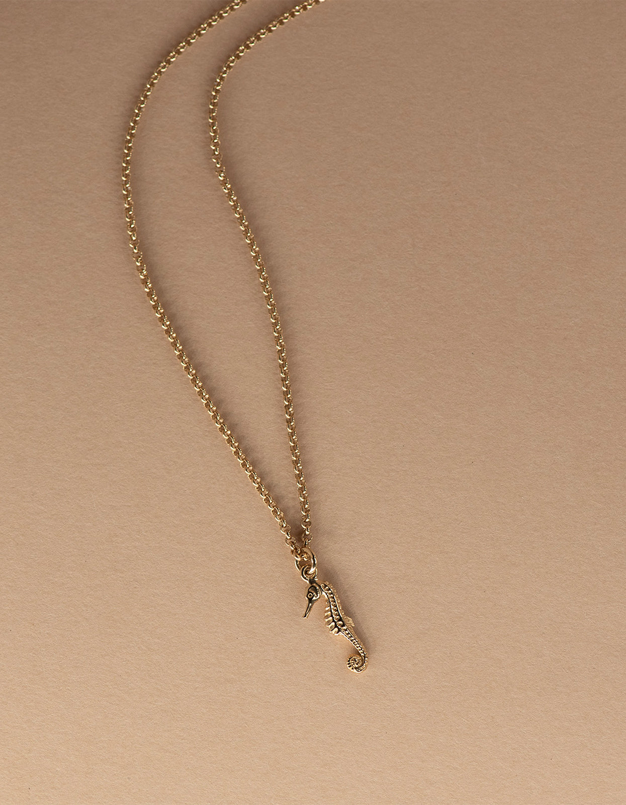 Seahorse Necklace - Gold
