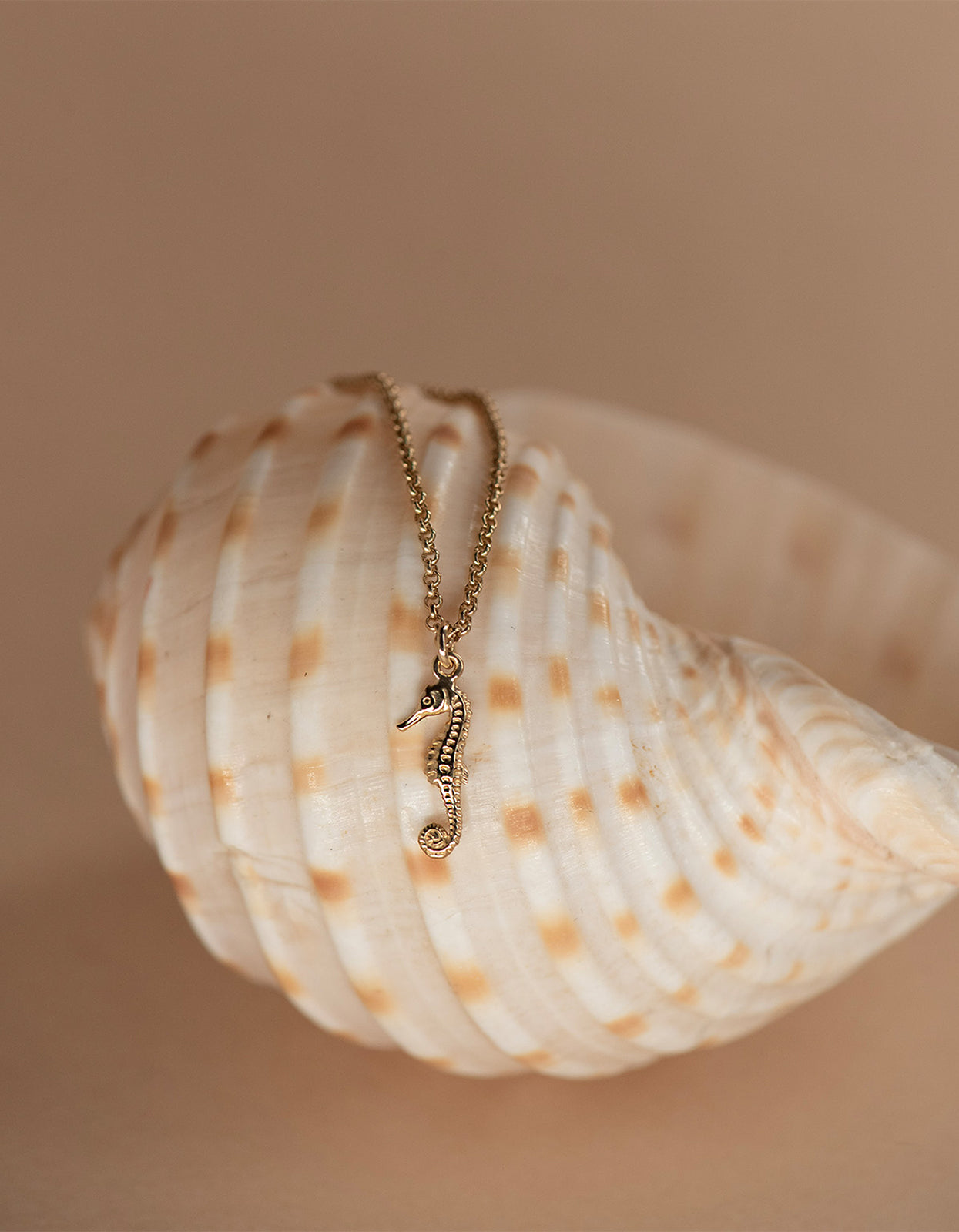 Seahorse Necklace - Gold