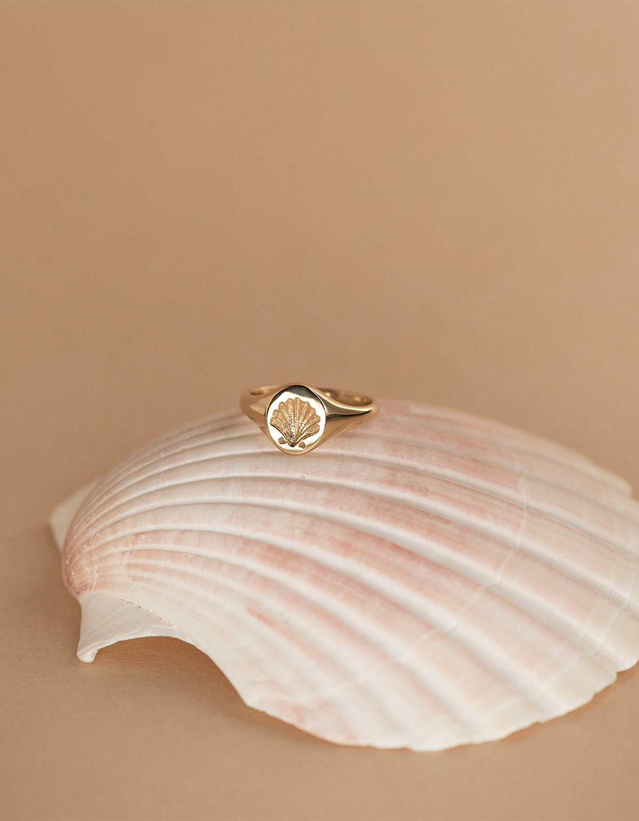 Secret Society Of Shell Lovers Signet Ring - Gold