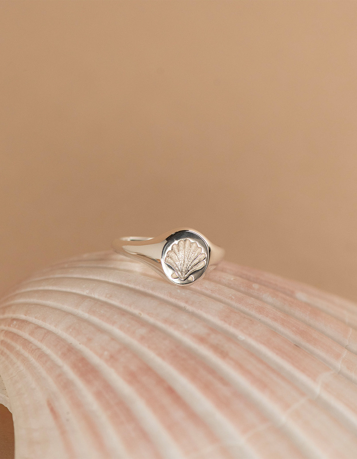 Secret Society Of Shell Lovers Signet Ring - Silver
