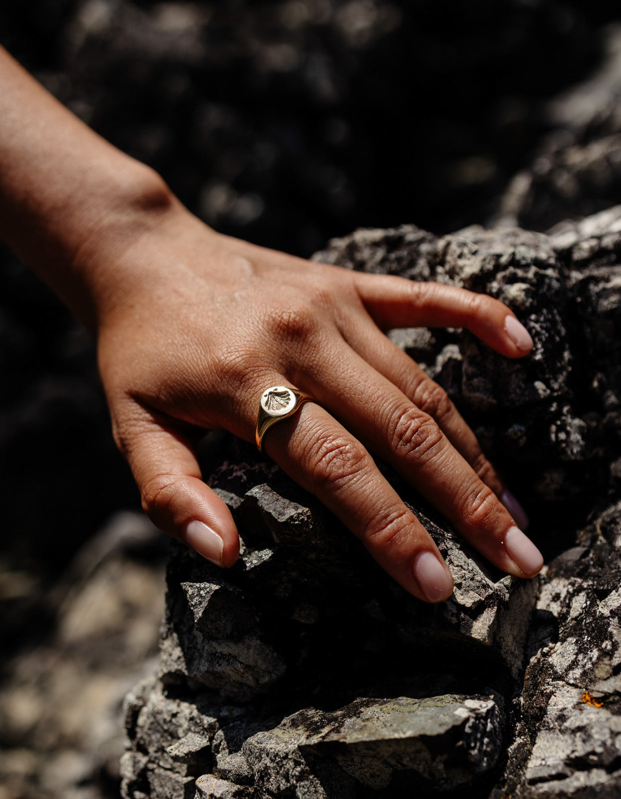 Secret Society Of Shell Lovers Signet Ring - Gold