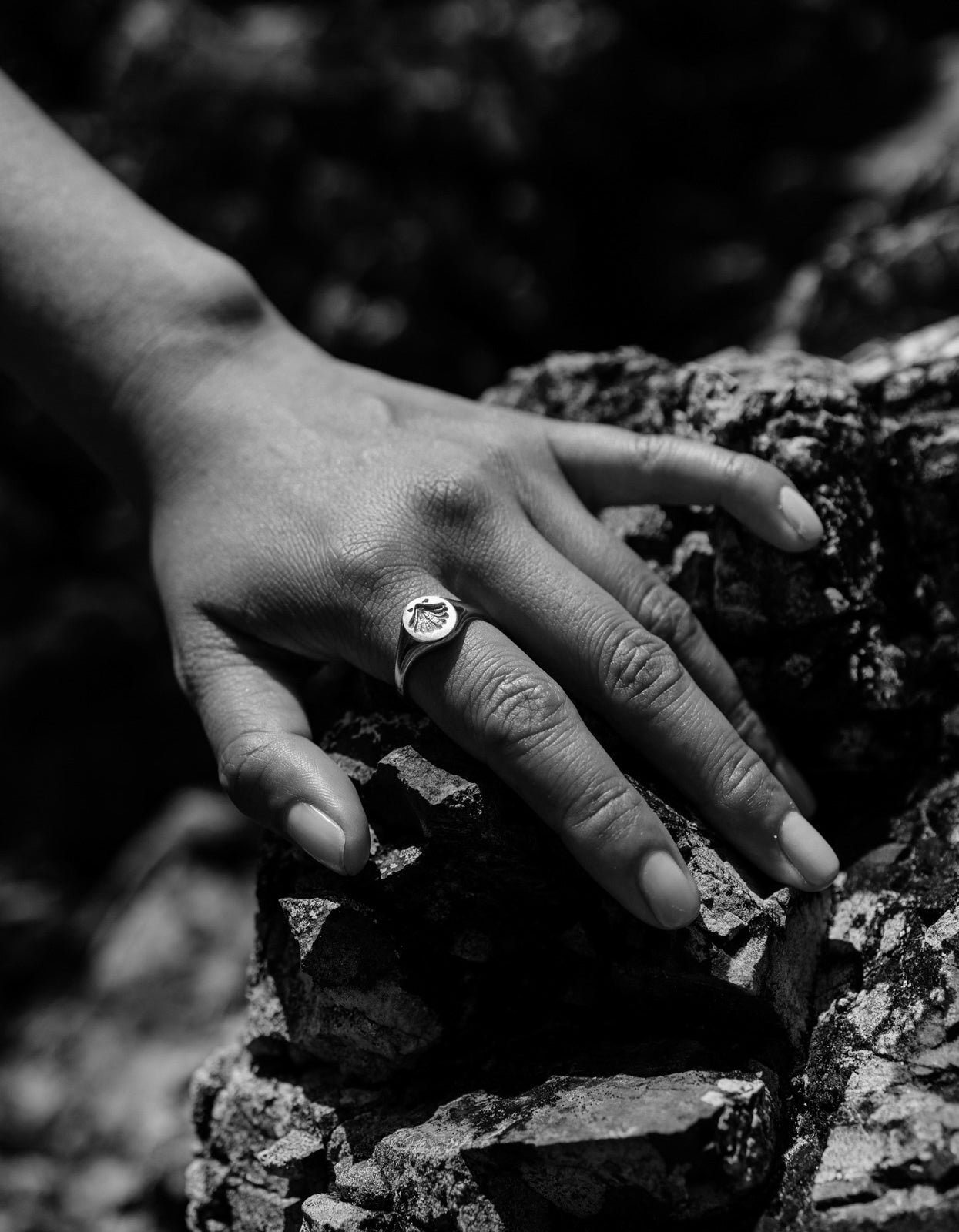 Secret Society Of Shell Lovers Signet Ring - Silver