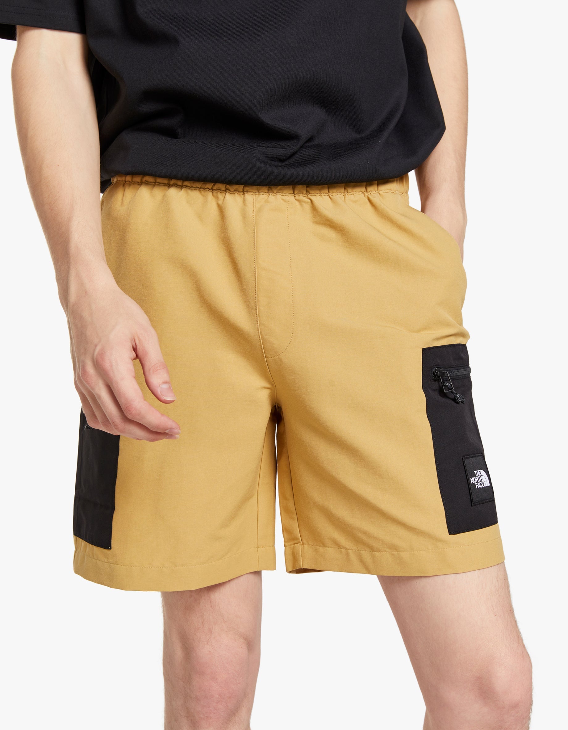 Cheap north face clearance shorts