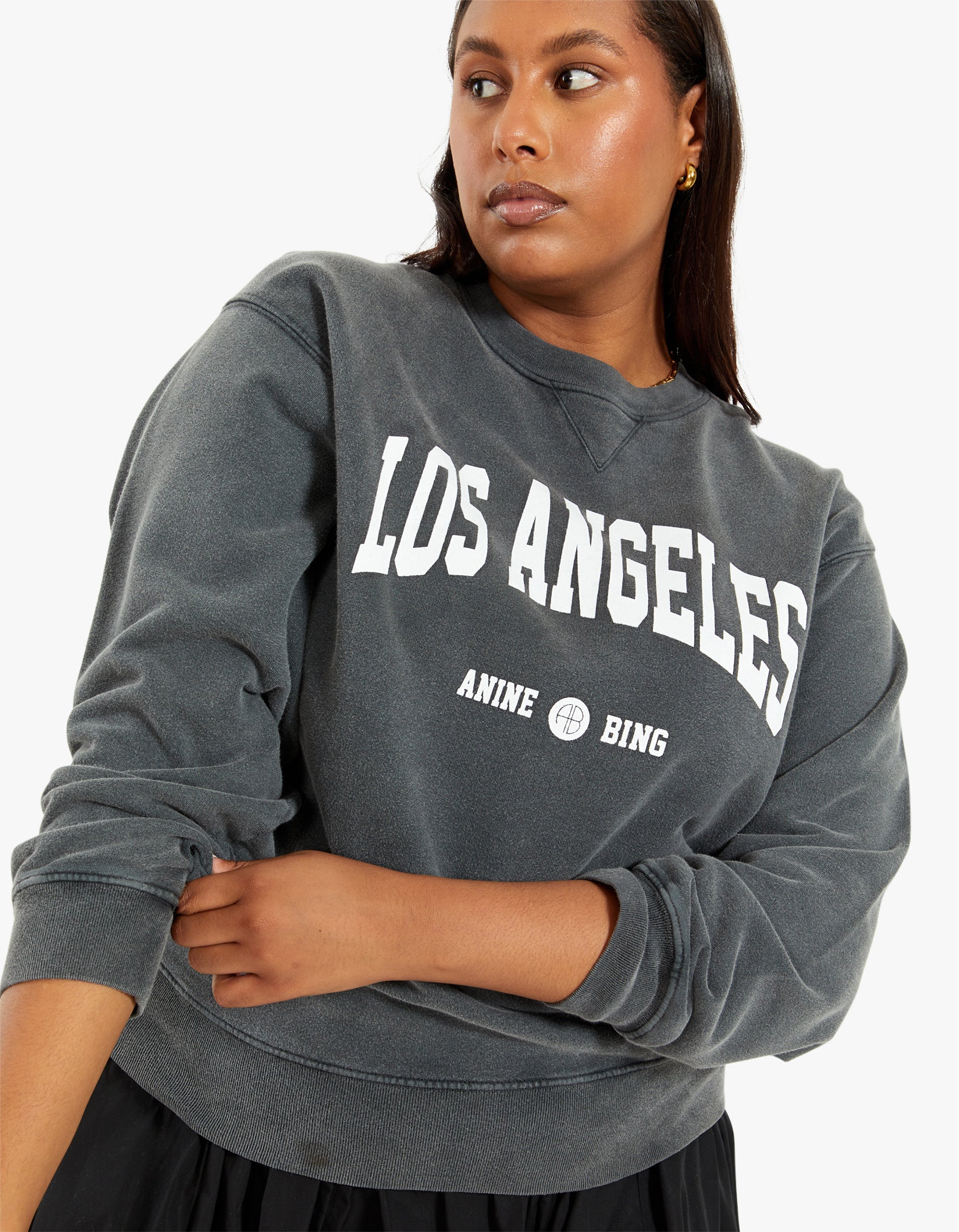 Anine bing best sale los angeles sweater