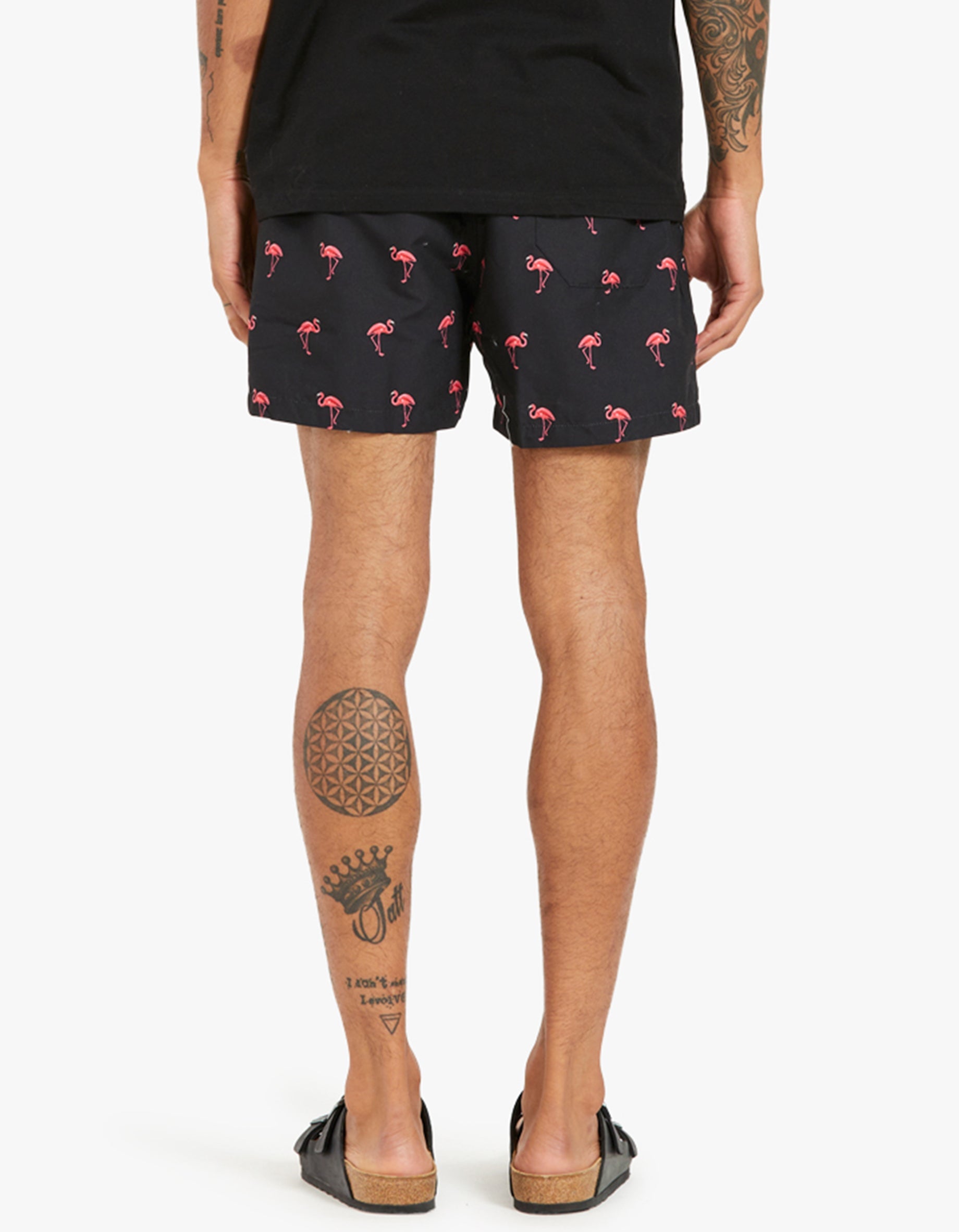 Flamingo store swim trunks